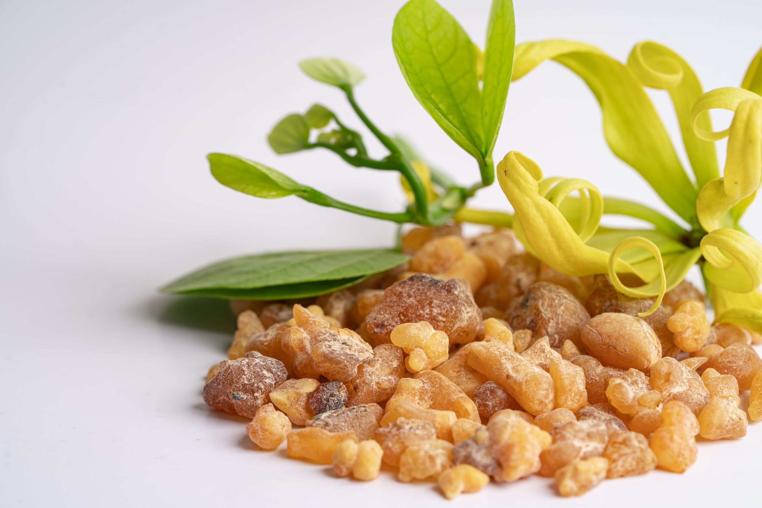 Lipokon Boswellia