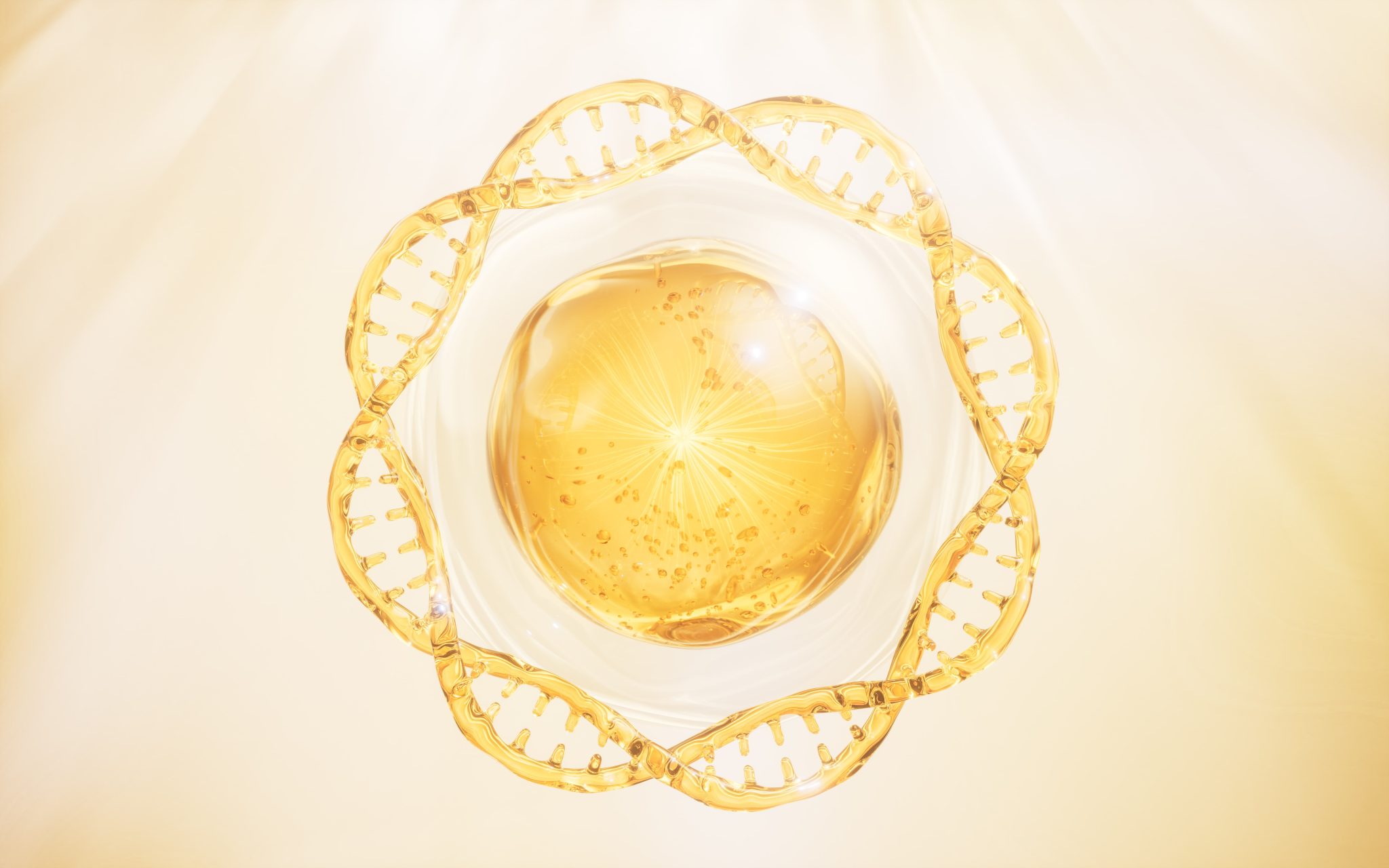 Lipokon Coenzyme Q 10 (10%)