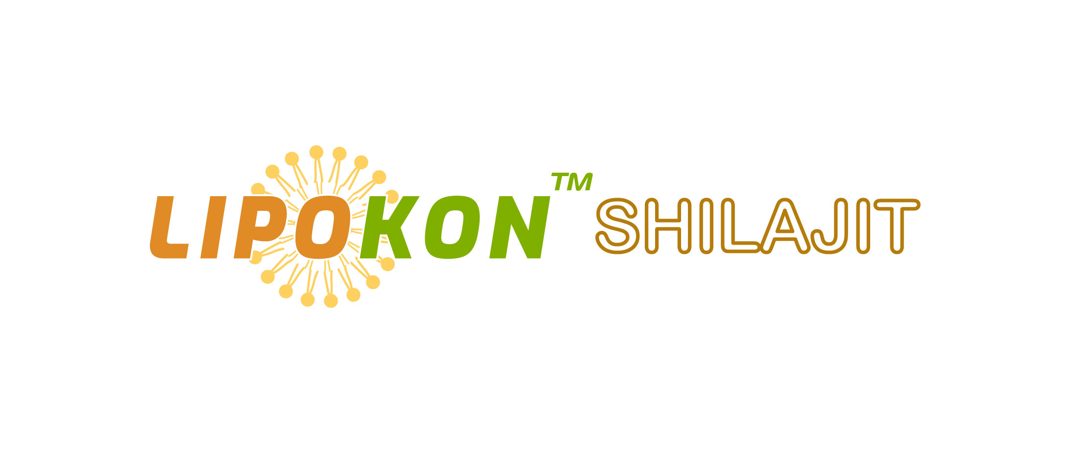 Lipokon Shilajit