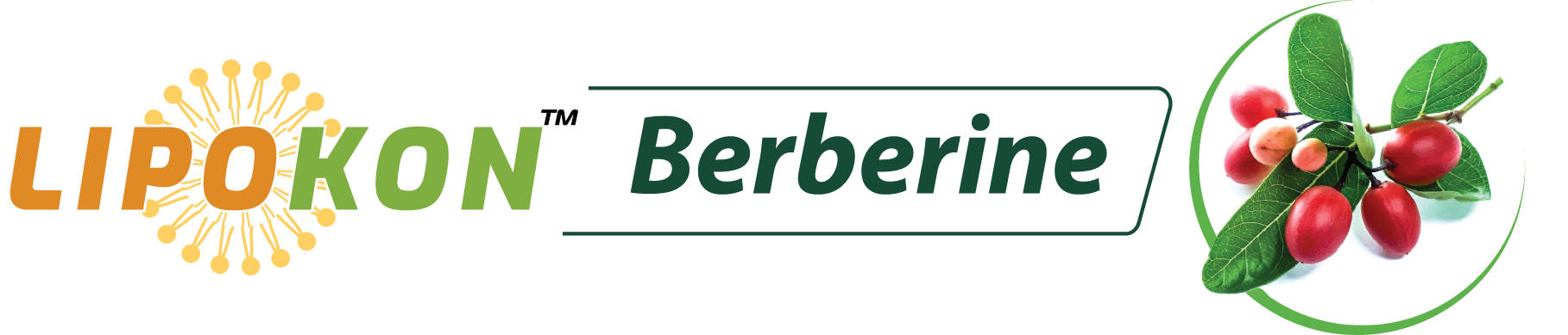 Lipokon Berberine and Berberine